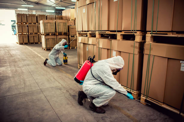 Best Ant Control Services  in Porterville, CA