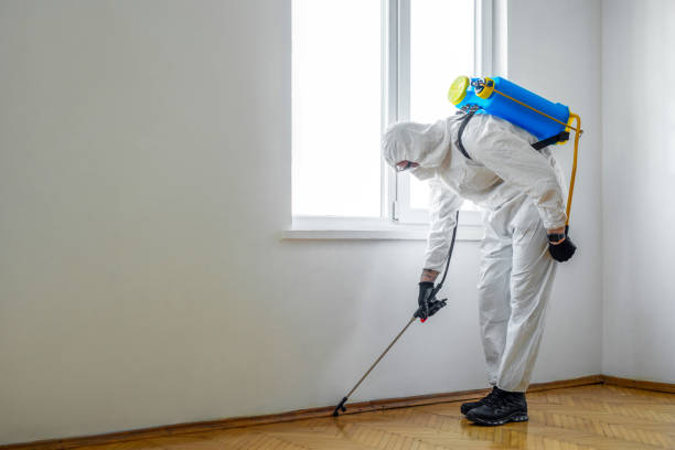 Best Pest Inspection Near Me  in Porterville, CA