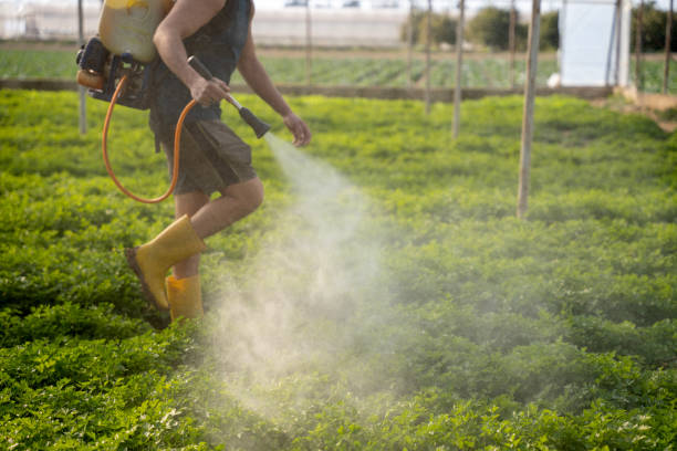 Best Commercial Pest Control Services  in Porterville, CA