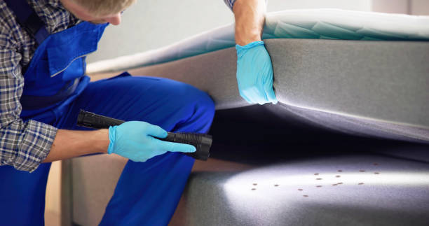 Best Mosquito Control Services  in Porterville, CA