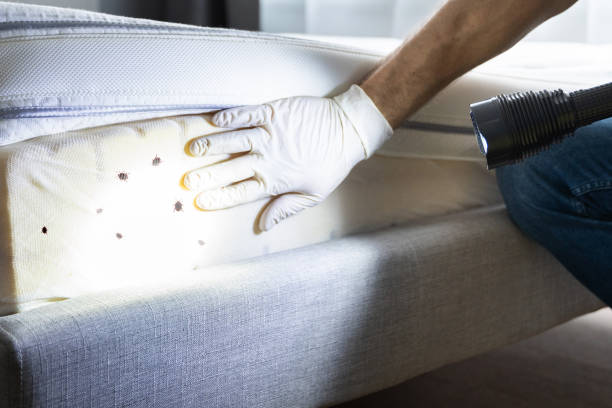 Best Exterminator Services  in Porterville, CA