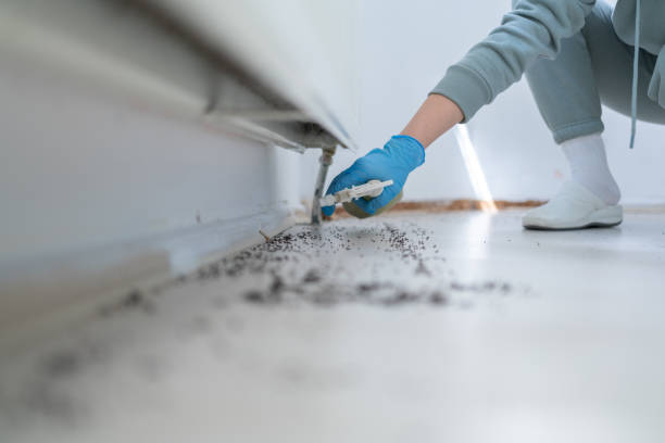 Trusted Porterville, CA Pest Control Experts
